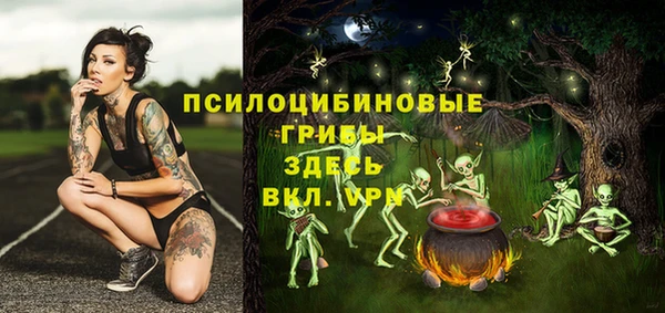 каннабис Белокуриха