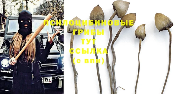 молекула духа Белоозёрский