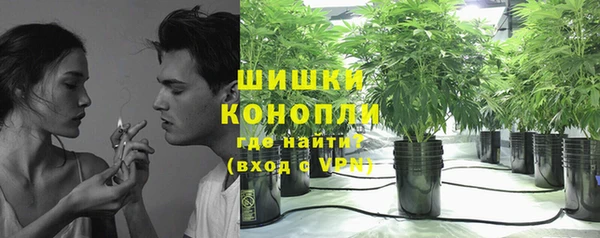 молекула духа Белоозёрский