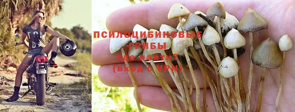 соль ск Беломорск