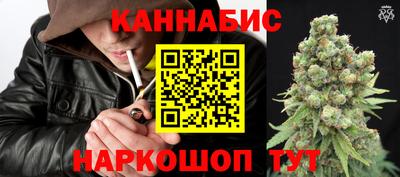 прущие грибы Апшеронск