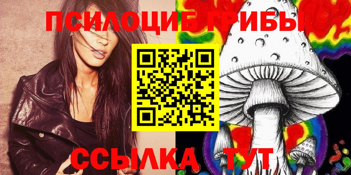 Богданович  Галлюциногенные грибы Psilocybe  Псилоцибиновые грибы прущие грибы  Вход с VPN 