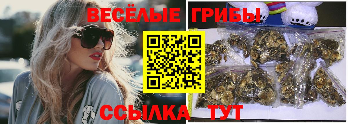 Псилоцибиновые грибы GOLDEN TEACHER  закладка  Галлюциногенные грибы прущие грибы  Богданович 