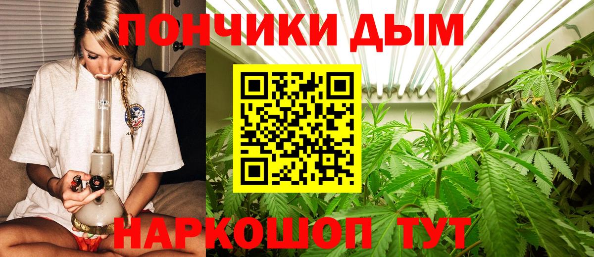 Бошки Шишки MAZAR Богданович